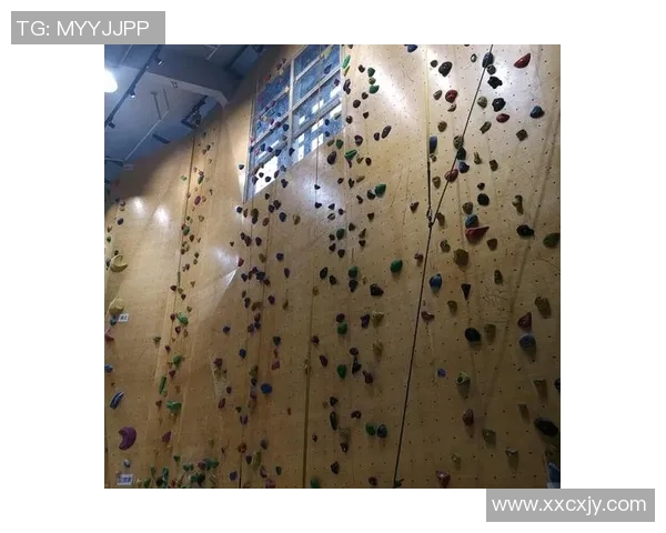 南京攀岩队表现出色最新攀岩状态TOP10榜单揭晓